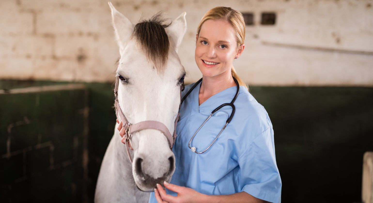 Fall Months and Vaccines for Horses