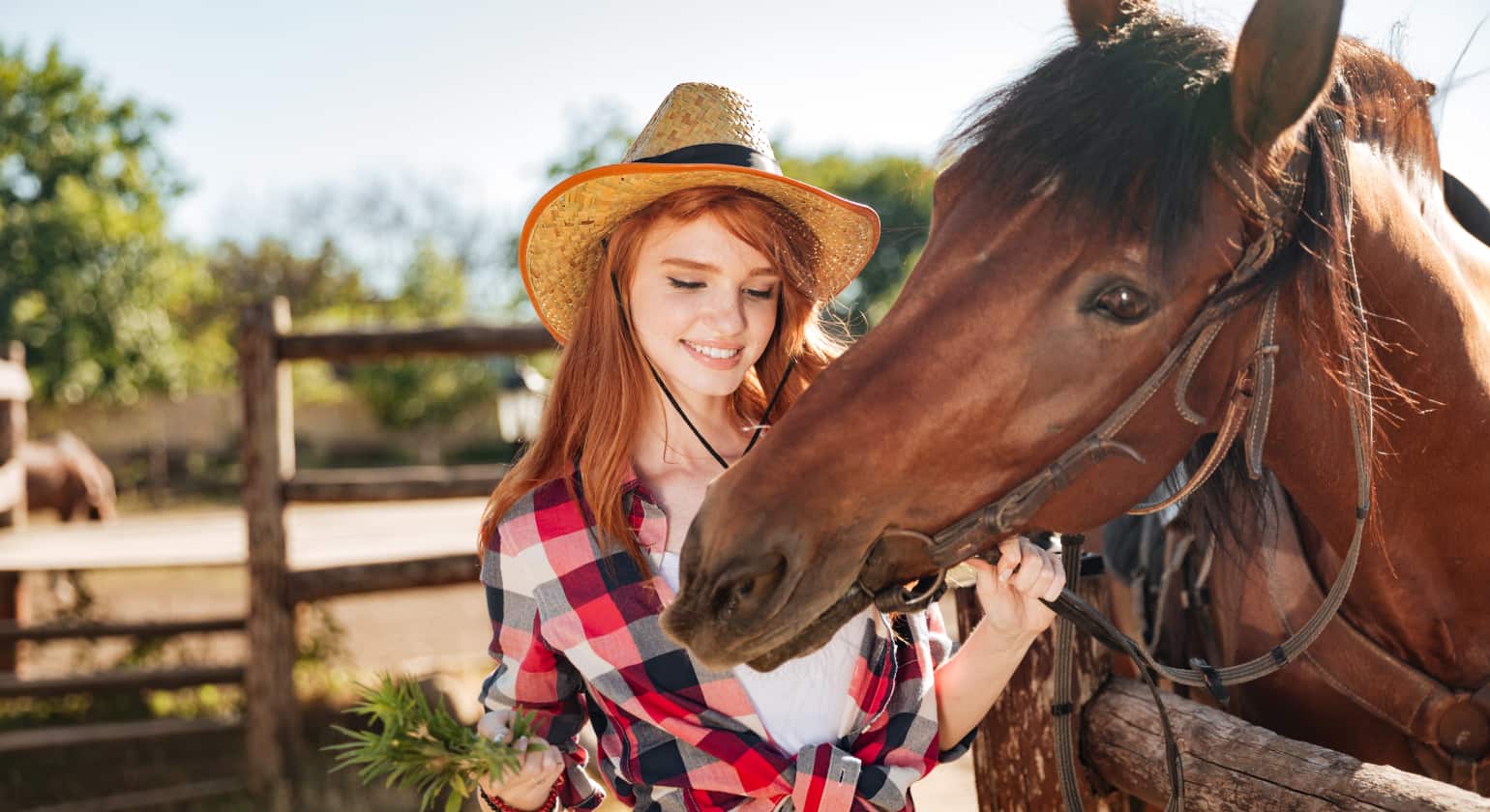 Horse gastric ulcer: Special Care and Nutrition