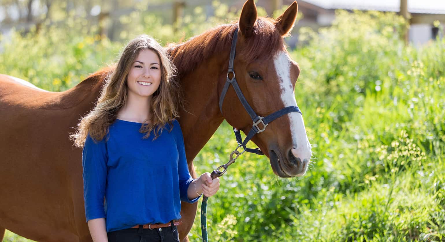 Immune System Booster For Horses