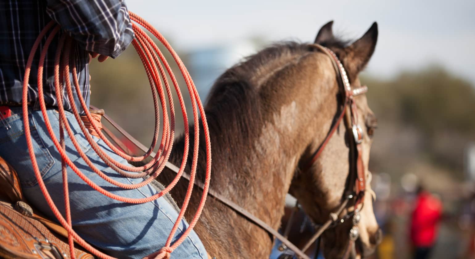 Supplements for Rodeo Horses