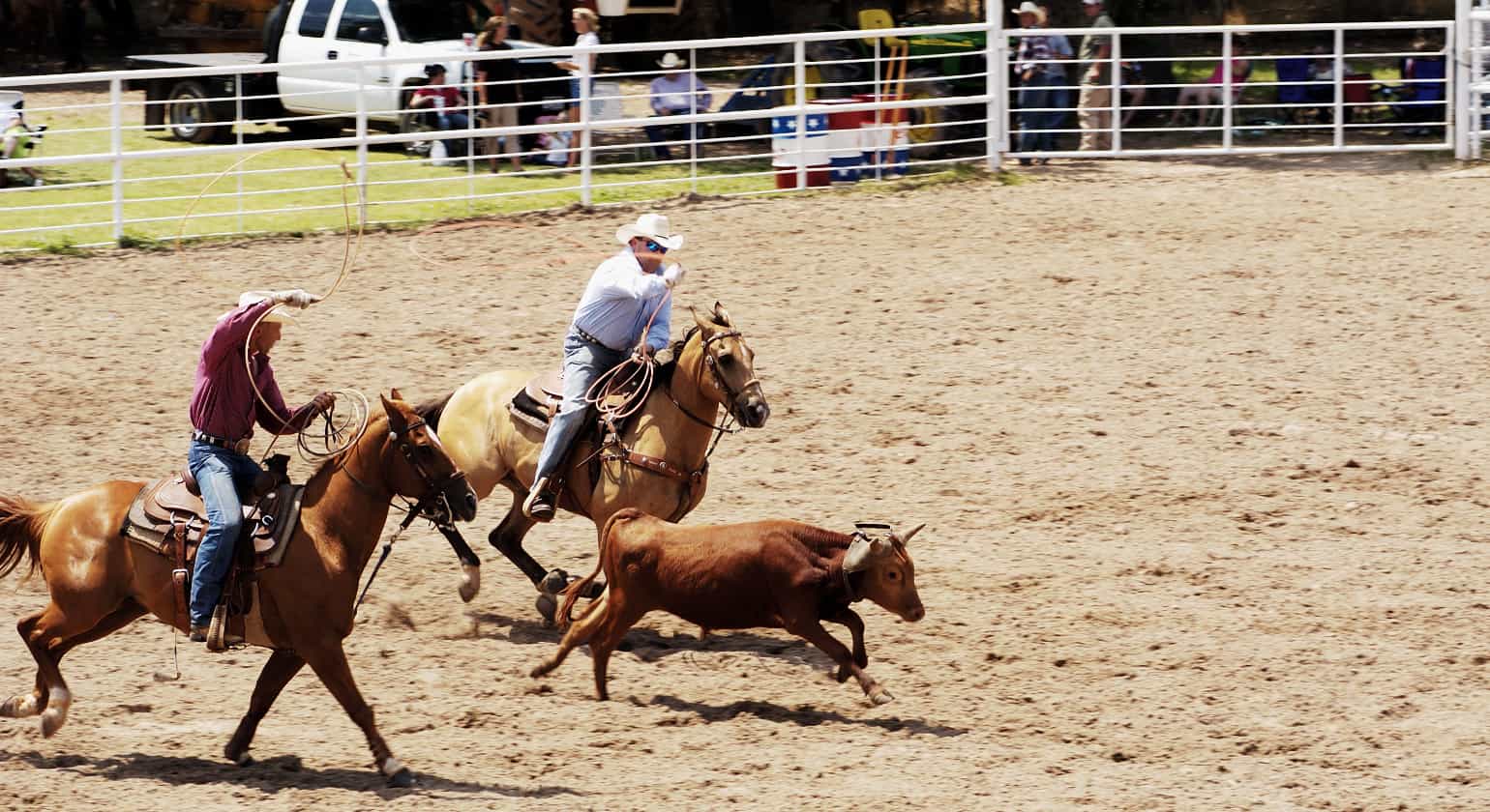 Team Roping: Supplement for Performance & Recovery